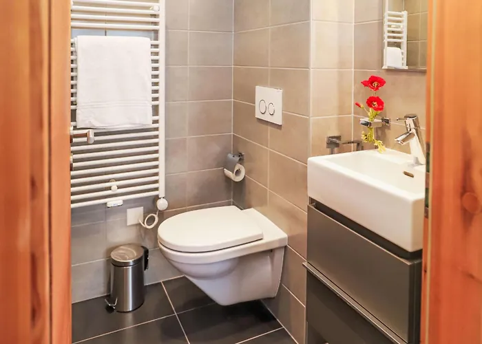 Rosablanche 205 By Interhome *